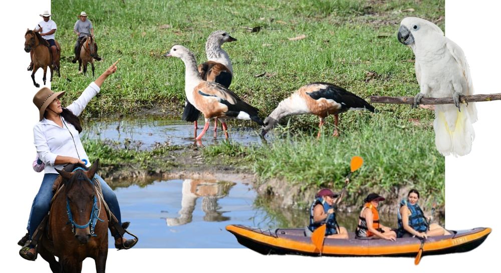 imagen-planes-de-ecoturismo-categoria-mitiquete