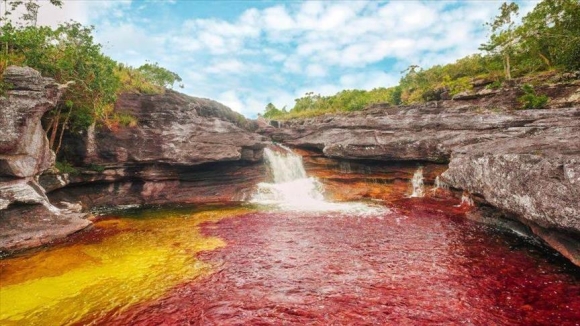 Planes Caño Cristal Todo Incluido - 3 y 4 noches 4 y 5 Días 2023