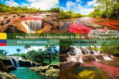 Plan Caño Cristales: El río de los cinco colores -