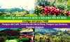 Plan Eje Cafetero desde Bogotá - Fin de Año - 4 noches 5 días  Parque del Café, Termales de Santa Rosa, Parque Los Arrieros, Pueblos Mágicos