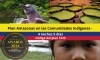 Plan Amazonas en las Comunidades Indígenas - 4 noches 5 días